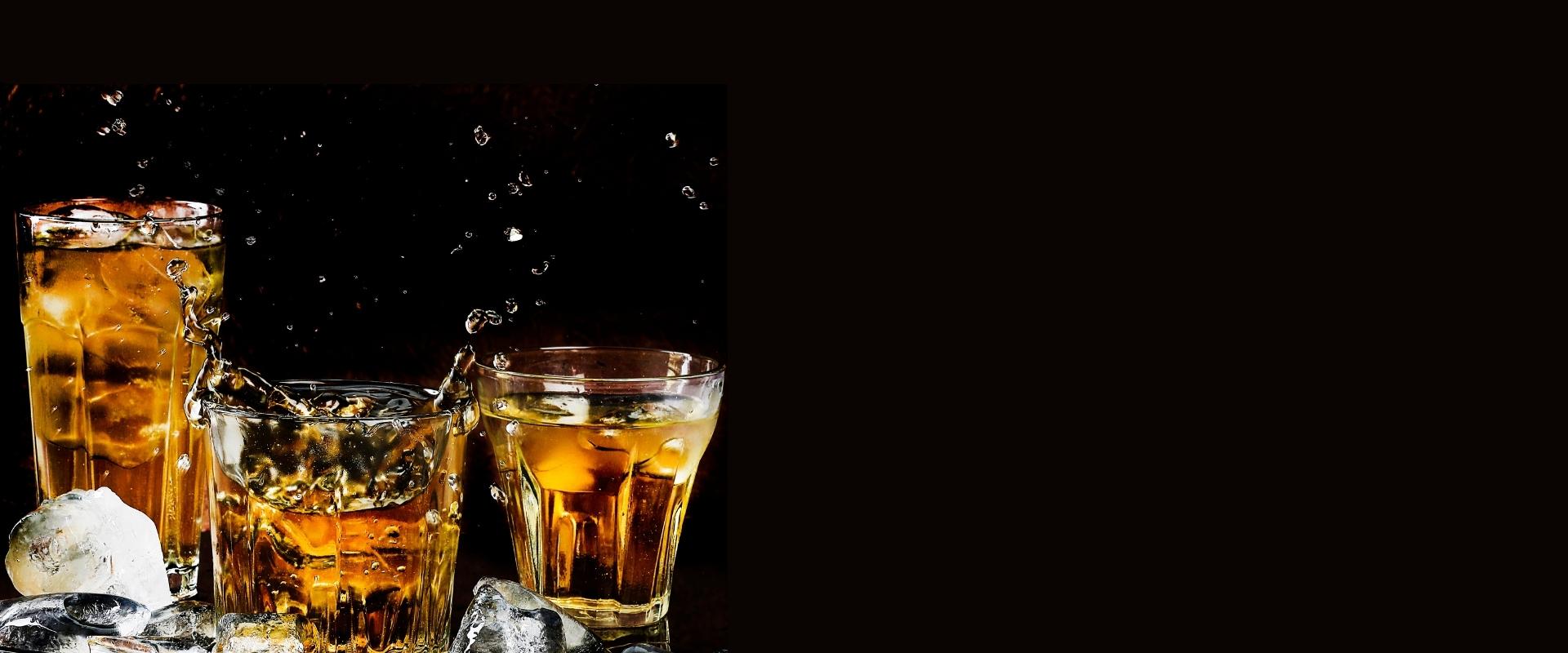 templatemo header